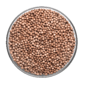 Graines de Coriandre - 50g