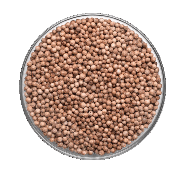 Graines de Coriandre - 50g